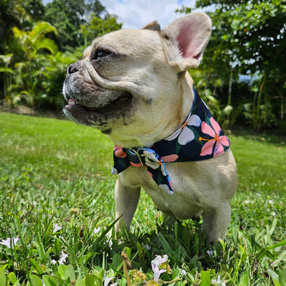 Fusión floral