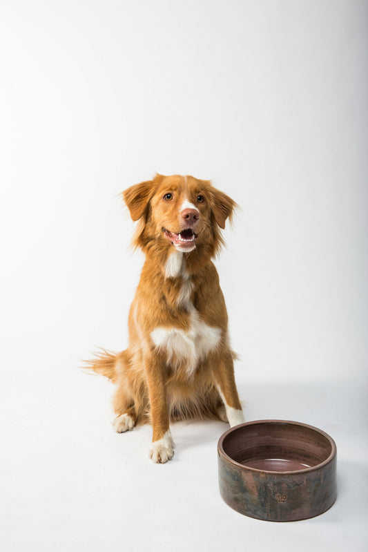 Large Puppy Fresh Meal Plan – 150 Full-Size Meals (40 oz portions)